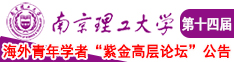 大奶学生在线后入南京理工大学第十四届海外青年学者紫金论坛诚邀海内外英才！
